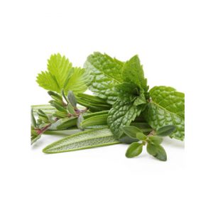 Neapolitan Herb Dark Balsamic Vinegar