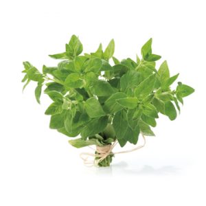 Oregano White Balsamic Vinegar