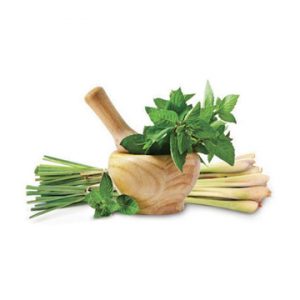 Thai Lemongrass Mint White Balsamic Vinegar