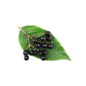 Elderberry Dark Balsamic Vinegar