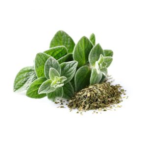 Oregano Olive Oil