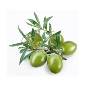 Barnea UP Olive Oil 2025 (robust)